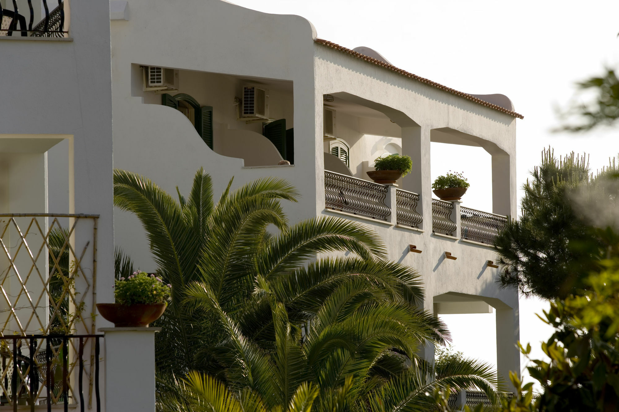 Hotel Parco Maria Terme Forio di Ischia エクステリア 写真